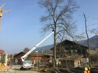 Lanz Jardin SA - Klicken Sie, um das Bild 5 in einer Lightbox vergrössert darzustellen