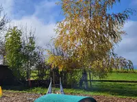 Hundeschule Guggisberg