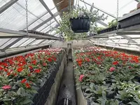 Gärtnerei Bühler GmbH