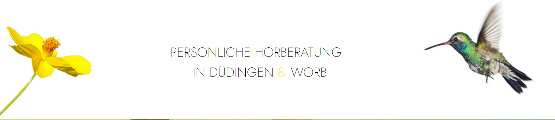 Hörberatung Düdingen / Worb