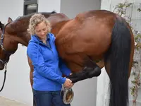 Equine Sports Medicine Services GmbH - Klicken Sie, um das Bild 15 in einer Lightbox vergrössert darzustellen