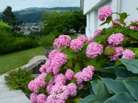 Gartengestaltung Andreas Jakob GmbH - Klicken Sie, um das Bild 28 in einer Lightbox vergrössert darzustellen