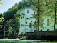 Société des Forces Electriques de La Goule