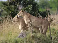 africa design travel ag