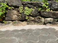 Sommer Gartenbau GmbH