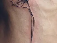 LUMIERE TATTOO SHOP