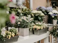 Florium GmbH