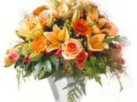 Blumen Pfister