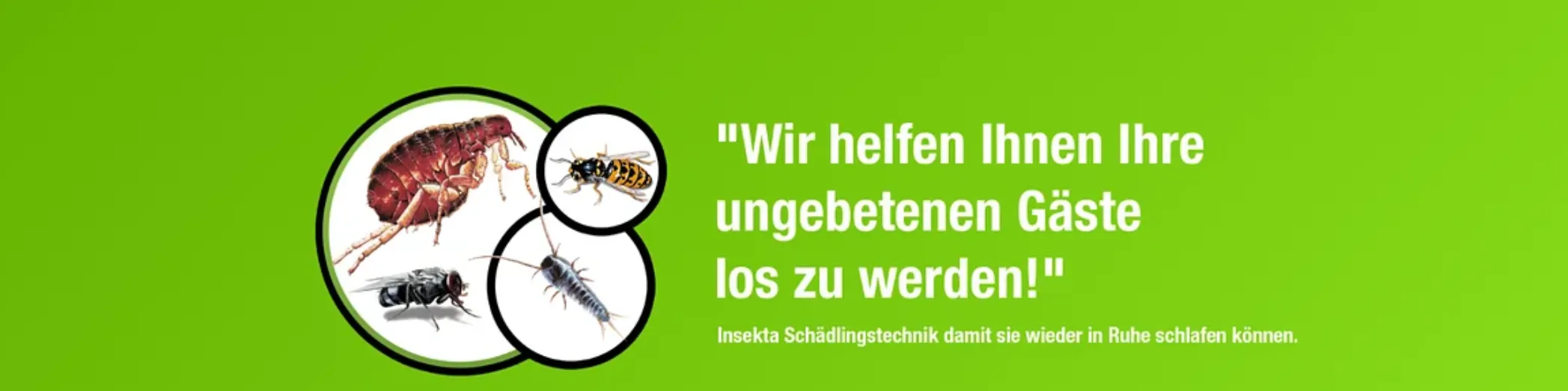 Insekta Schädlingstechnik GmbH