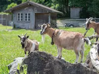 jetzt Eigen - Klicken Sie, um das Bild 3 in einer Lightbox vergrössert darzustellen