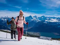 Beatenberg Tourismus - Klicken Sie, um das Bild 13 in einer Lightbox vergrössert darzustellen