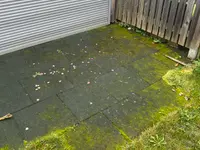 Gebäudereinigung RUPPANNER Hauswartungen KECKEX.swiss