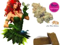 Vapor Spirit CBD Shop Zürich, CBD kaufen Schweiz & CBD Öl