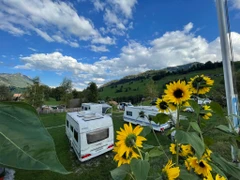 Camping Arnist