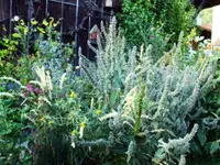 Geiser Gartenbau - Klicken Sie, um das Bild 7 in einer Lightbox vergrössert darzustellen