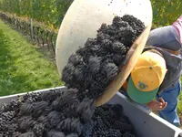 Domaine du Petit-Truet