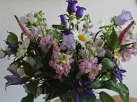Blumen Ball GmbH