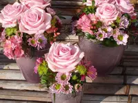 Blumen Zweerus