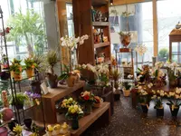 Blumen Eichenberger Horgen