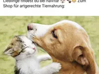 Speedy- Service Dienstleistung mit Herz für Mensch und Tier