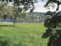 Gasthof & Hotel zum Schiff - Klicken Sie, um das Bild 16 in einer Lightbox vergrössert darzustellen