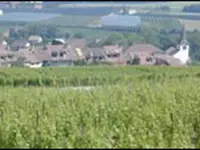Cave du Vieux-Coteau Sàrl