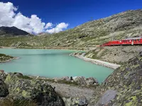 Cambrena