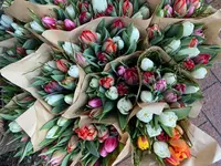 Blumen Müller