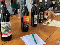 Weinbau Leuengrund - Schneider Weine