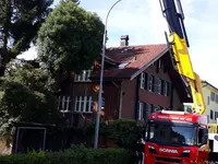 Grünplus AG Lehmann