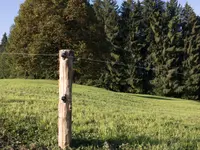 Alpsteinzaun + Tor AG
