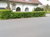 praxis für craniosacrale therapie