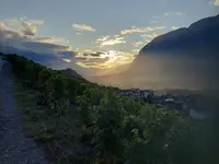 Cave du Cholèk Sàrl