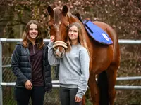 Reitsportzentrum St. Josefen AG - Klicken Sie, um das Bild 4 in einer Lightbox vergrössert darzustellen