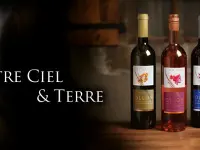 Artisans Vignerons d'Ollon