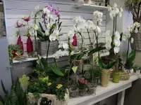 Design Flowers