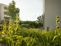 Propaysages SA - Klicken Sie, um das Bild 5 in einer Lightbox vergrössert darzustellen