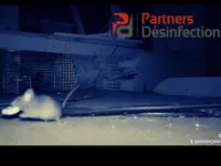 Partners Desinfection | Votre spécialiste en Nuisibles