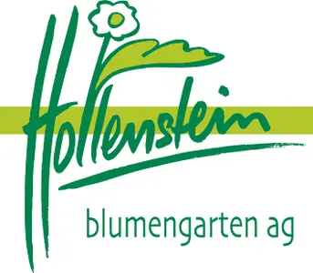 hollenstein blumengarten ag, Blumenshop, Gärtnerei, Gartenbau