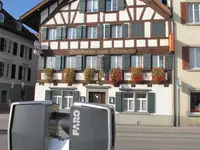 Domeisen Lukas AG