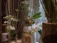 ART NATURAL stucki