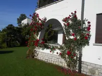 Art & Giardini Sagl