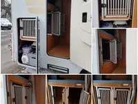 Zoo-Shop GmbH & Swissdogbox.ch