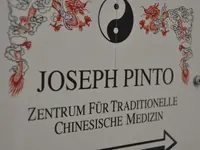 Pinto Joseph - Klicken Sie, um das Bild 4 in einer Lightbox vergrössert darzustellen