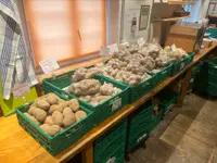 Grimm Obst u. Gemüsehandels AG