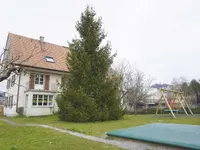 kibe plus