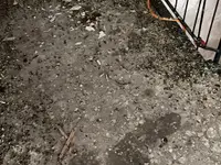 GROSS Pest Control GmbH