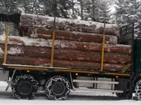 Andi Caviezel Holztransporte - Klicken Sie, um das Bild 2 in einer Lightbox vergrössert darzustellen