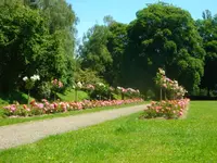 JB Jardins SA