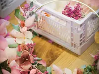 Jaime Sàrl - Fleuriste & concept store